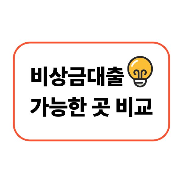 비상금대출