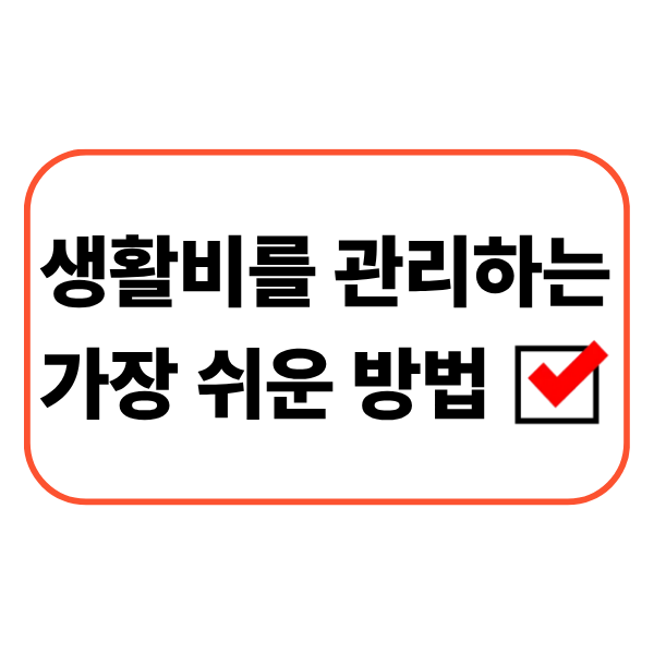 월급과 생활비 지출을 간단하게 관리하는 직장인