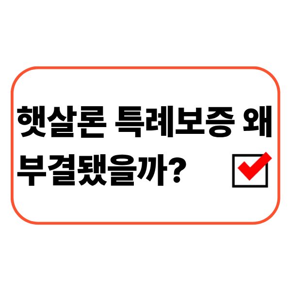 햇살론 특례보증 부결 이유와 금융상태를 확인하는 모습
