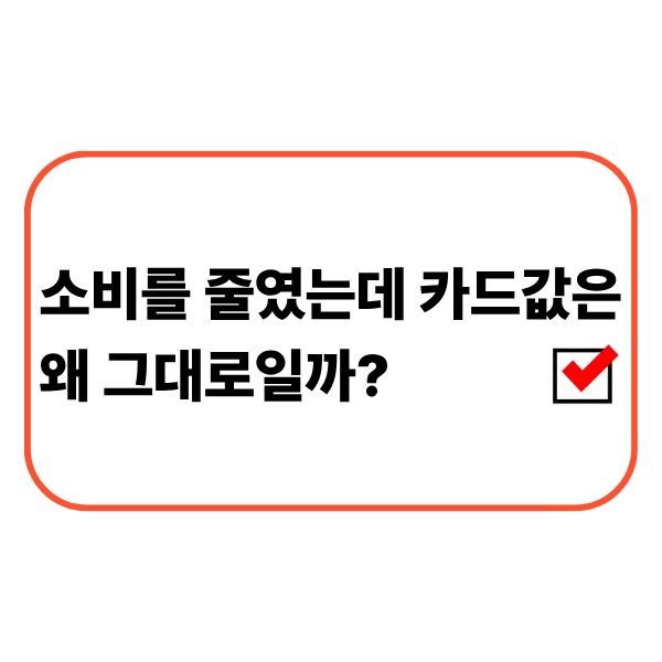 소비를 줄였는데도 카드값이 줄지 않는 이유를 확인하는 모습
