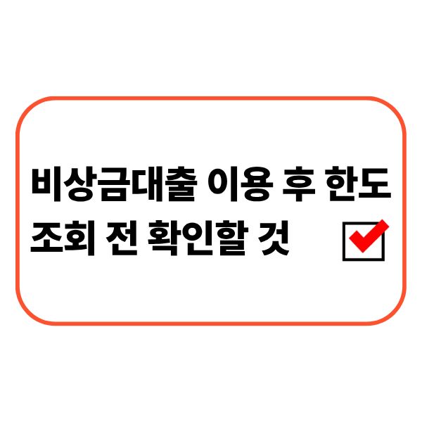 비상금대출 이용 후 기존 대출 잔액과 신용정보를 확인하고 추가 대출 한도를 알아보는 모습