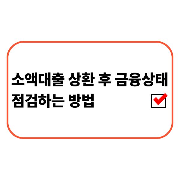 소액대출 상환 후 대출 잔액과 신용정보, 금융상태를 확인하는 모습